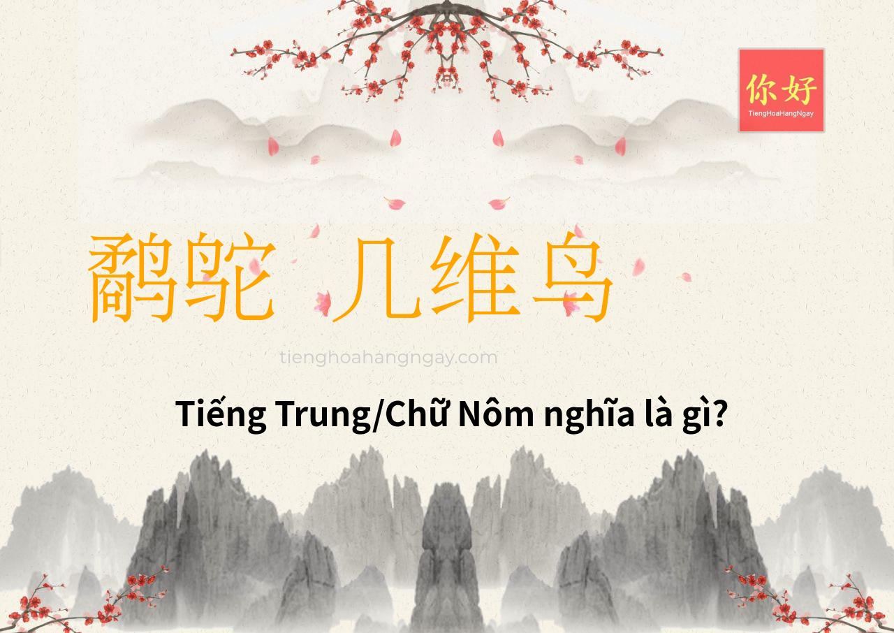 鹬鸵 几维鸟 tiếng Trung là gì?
